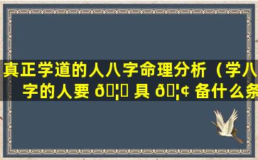 真正学道的人八字命理分析（学八字的人要 🦁 具 🦢 备什么条件）